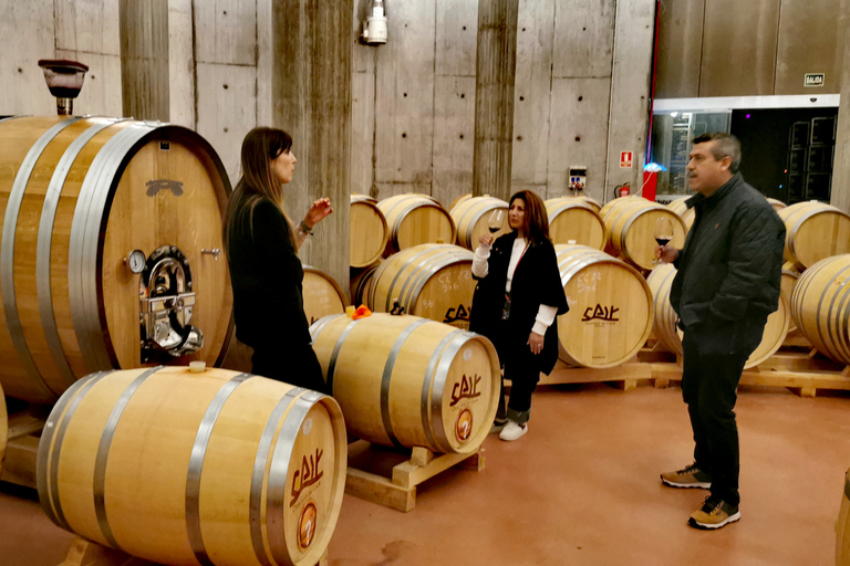 Ribera del Duero wine region private tour Ribera del Duero Private Wine Tour