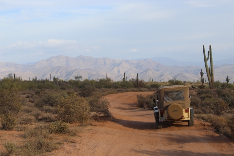 Scottsdale: Sonoran Desert & Tonto National Forest Jeep Trip 3-Hour Desert Daytime Trip