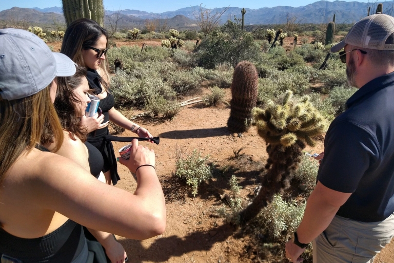Ze Scottsdale: wycieczka na pustynię Sonora i do lasu narodowego Tonto3-godzinna wycieczka na pustynię w ciągu dnia