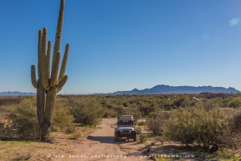Scottsdale: Sonoran Desert & Tonto National Forest Jeep Trip 2-Hour Desert Daytime Trip