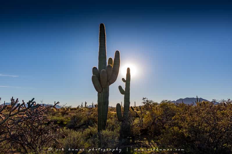 Au D part De Scottsdale Excursion Dans Le D sert De Sonoran Et La au-d-part-de-scottsdale-excursion-dans-le-d-sert-de-sonoran-et-la