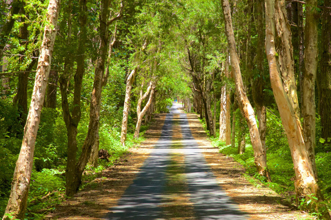 Mauritius: Exklusive Südwest-Tour