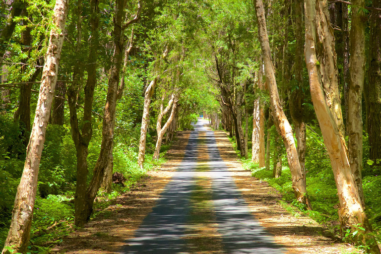 Mauritius: Exklusive Südwest-Tour