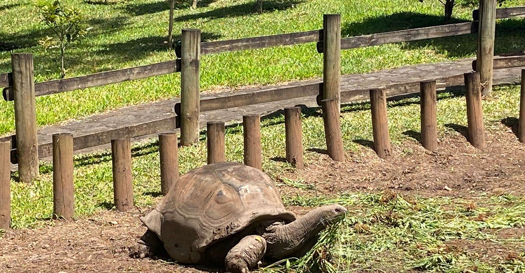 Mauritius, exklusive Südwesttour - Hizvo