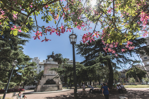 2 dagen en 1 nacht op bezoek bij Colonia en Montevideo