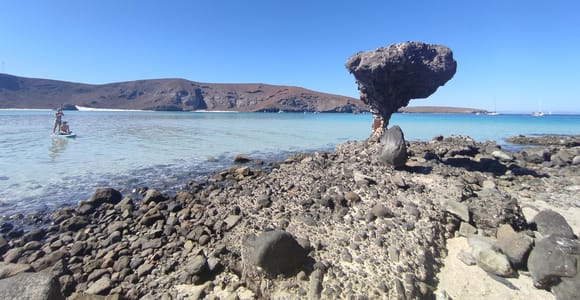 Cabo San Lucas: Balandra Beach and City Tour
