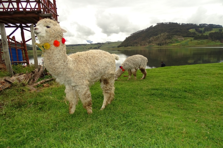 Desde Cusco: Excursión en quad a Maras MorayExcursión en quad por Maras y Moray