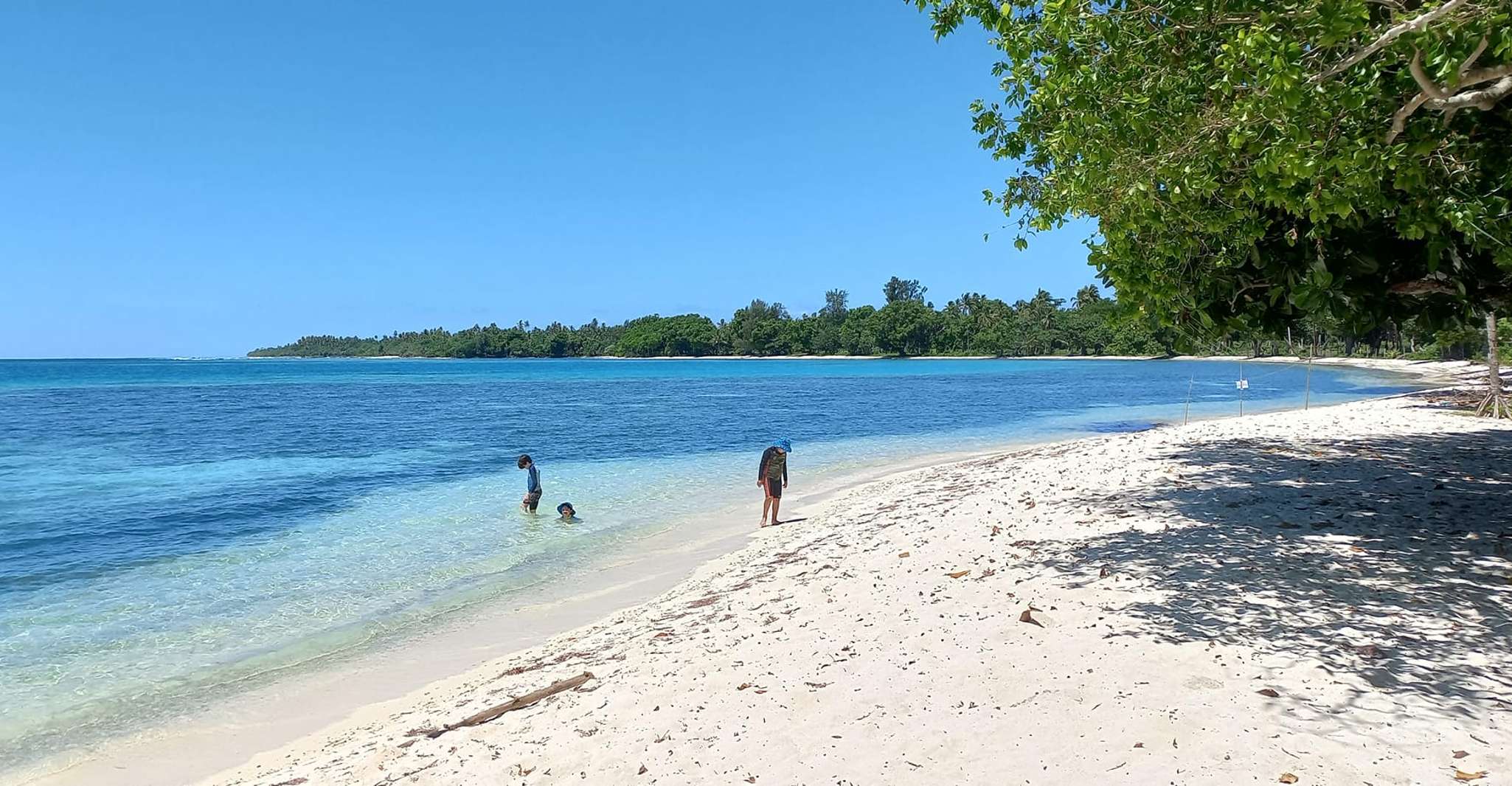 Port Vila Autonoleggio furgone giornata intera + autista - Hizvo