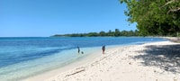 Port Vila Autonoleggio furgone giornata intera + autista - Hizvo