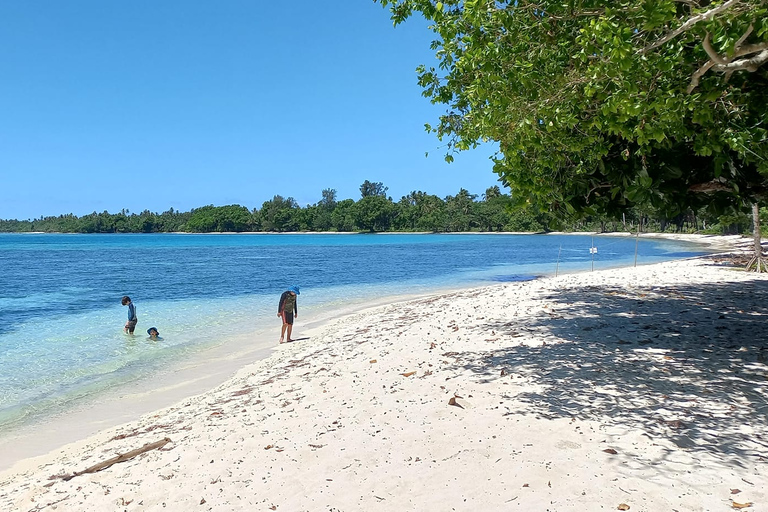 Port Vila Hyrbil hela dagen + förare