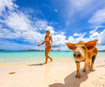 Nassau: Swimming Pigs, Snorkeling and Beach Boat Tour