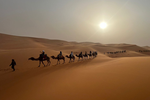 Marrakech : Privat ökenresa 3 dagarPrivat Desert Tour Premium 3 dagar från Marrakech till Fez