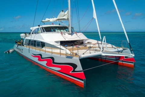 From Cairns: Great Barrier Reef Cruise by Premium Catamaran Great Barrier Reef Premium Catamaran Cruise