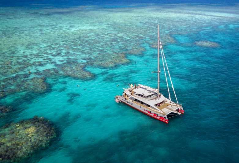 Des de Cairns: creuer per la Gran Barrera de Corall en catamarà premium
