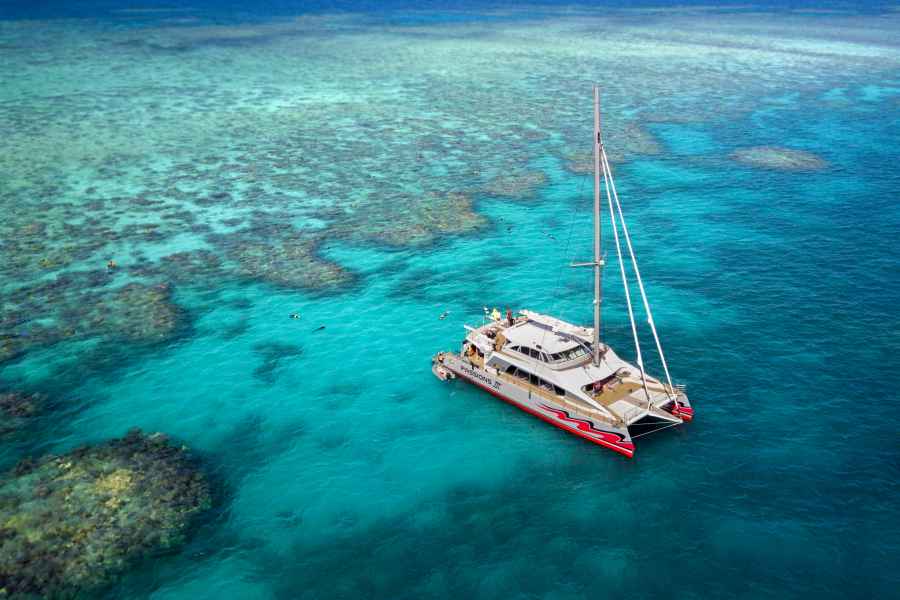 Ab Cairns: Great Barrier Reef-Tour mit Premium-Katamaran