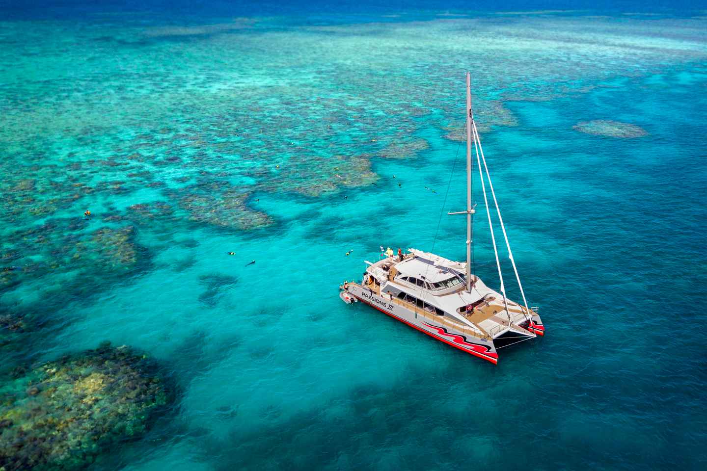 From Cairns: Great Barrier Reef Cruise by Premium Catamaran - Cruise with Snorkelling Only