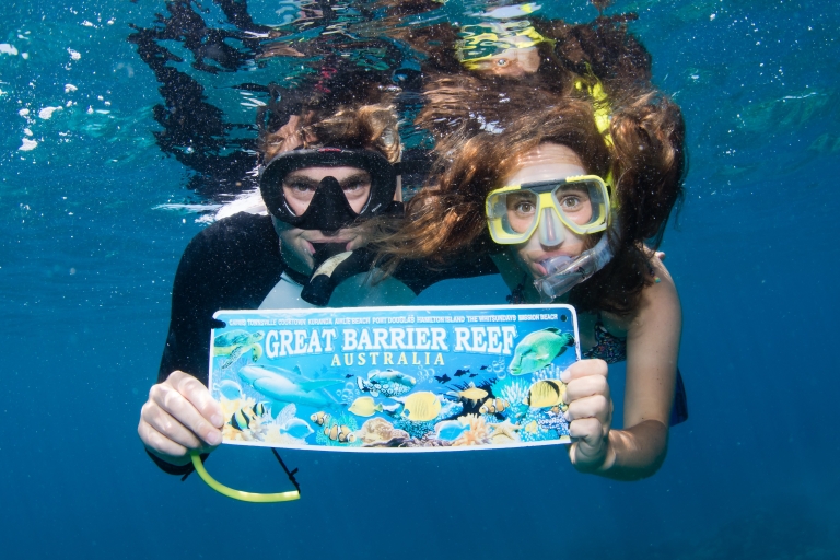 From Cairns: Great Barrier Reef Cruise by Premium Catamaran Great Barrier Reef Premium Catamaran Cruise with Scuba Dive