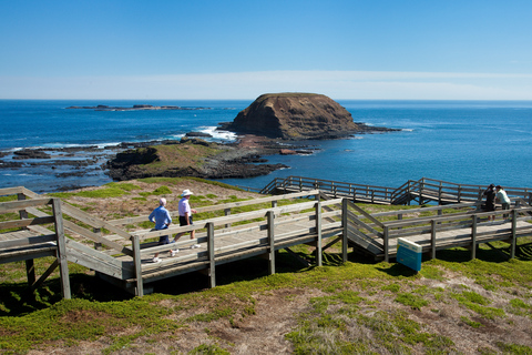 Depuis Melbourne : Voyage express à Phillip Island pour la parade des pingouins