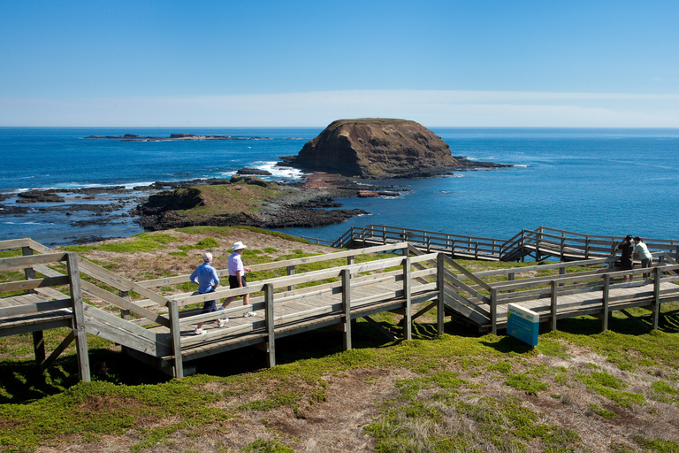 From Melbourne: Phillip Island Penguin Parade Express Trip