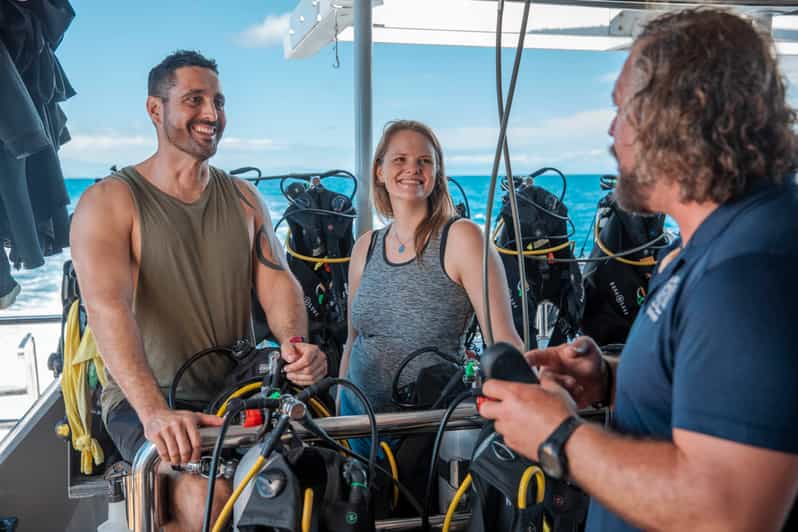 From Cairns Great Barrier Reef Cruise By Premium Catamaran Getyourguide 