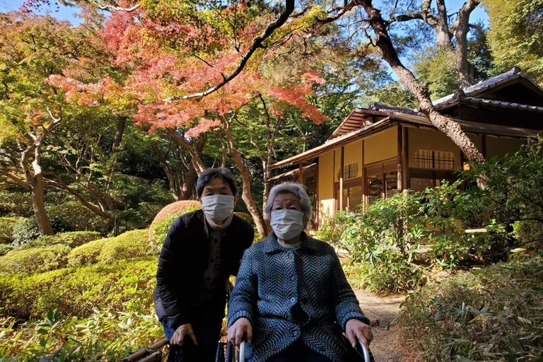 Full Day Private Tokyo Tour for Wheelchair Users