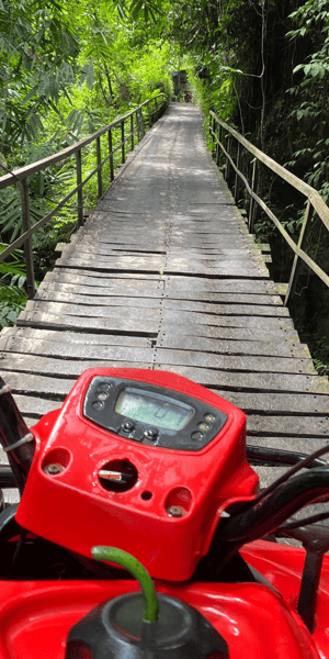 Ubud Quad Atv Waterfalls Barong Caves Getyourguide