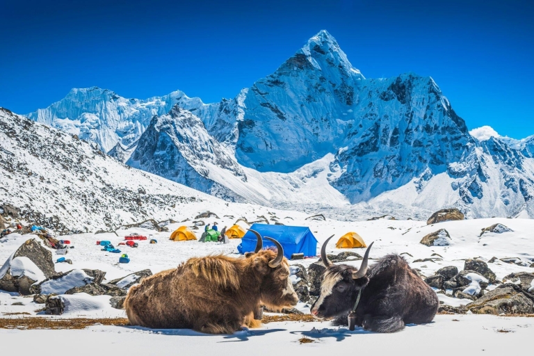 Trek du camp de base de l'Everest : Majestic Himalayan Adventure expert
