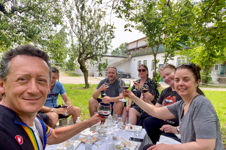 Sirmione: Vineyard Tour with Lugana Wines and Local Tastings 5 Wines