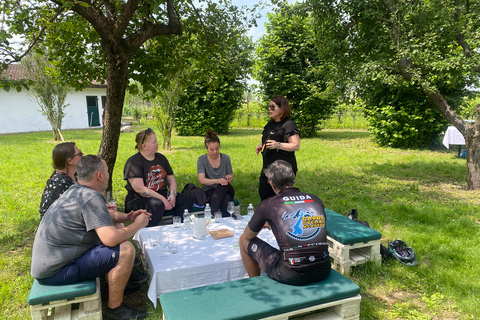 Sirmione: Vineyard Tour with Lugana Wines and Local Tastings 5 Wines