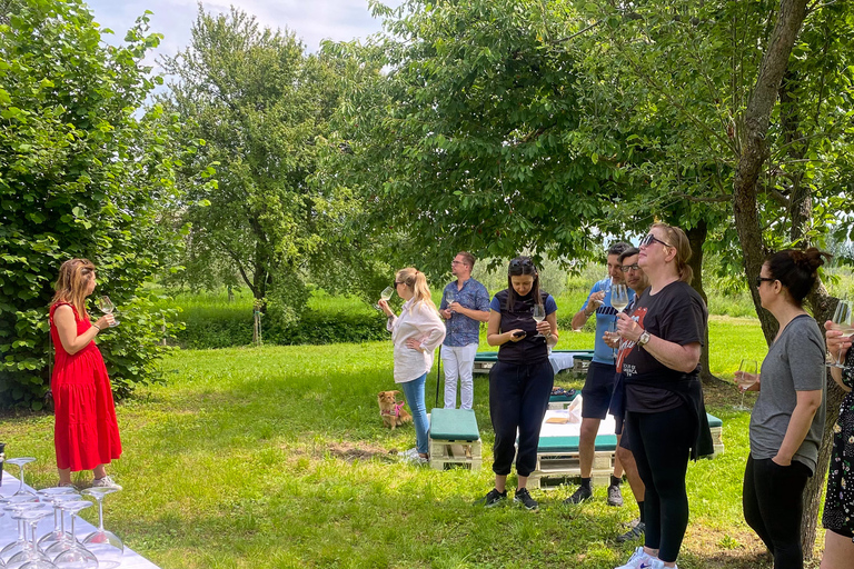 Sirmione: Vineyard Tour with Lugana Wines and Local Tastings 5 Wines