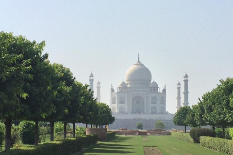 Oficjalny przewodnik po Taj Mahal i Agra Fort Sightseeing