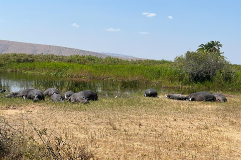 Depuis Kigali : 1 jour de safari dans l&#039;Akagera et tour en bateau. Tout compris