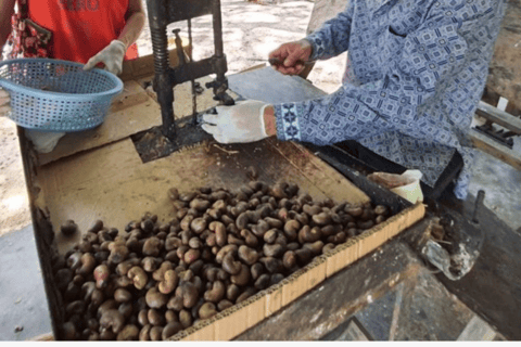 Halbtägige Tour durch Khao LakKhao Lak Local – Halbtägige Tour