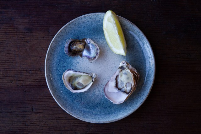 Visit Guided oyster tasting in Pearl Beach