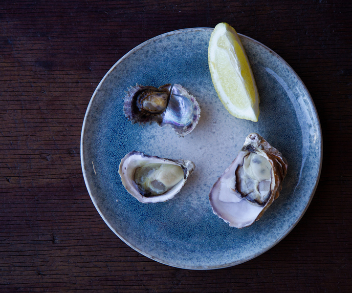 Guided oyster tasting