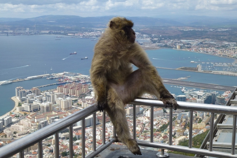 De Málaga: visite d'une journée complète du rocher de Gibraltar avec busDépart de Malaga