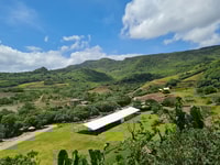 Try our Ultimate thrilling bicycle-zip-lining activity! - Housity