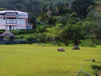 Try our Ultimate thrilling bicycle-zip-lining activity! - Housity