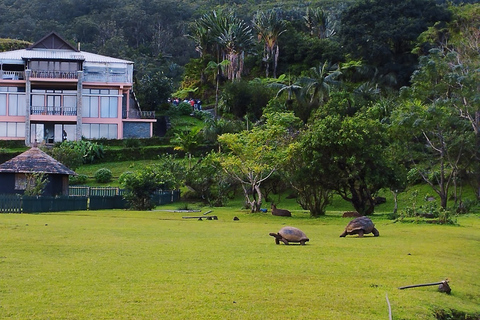 ¡Prueba nuestra emocionante actividad definitiva de bicicleta-zip-lining!