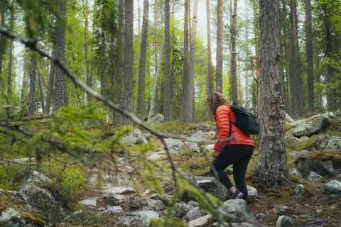 Auttiköngäs Hiking Experience