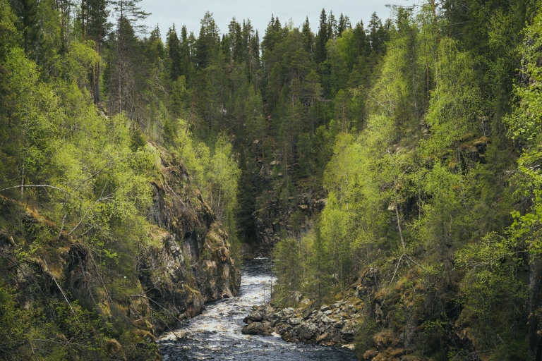 Doświadczenie wędrówek Auttiköngäs