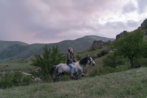 Andare a cavallo fino alla Chiesa della Trinità di Gergeti e raggiungere la vetta di una montagna