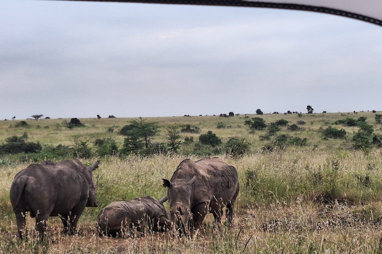 Parque Nacional, Bebé Elefante, &Centro Jirafa &Karen Blixxen