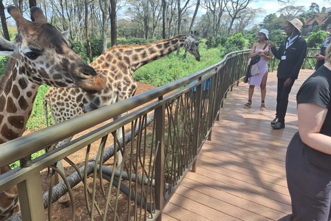 Parque Nacional, Bebé Elefante, &Centro Jirafa &Karen Blixxen