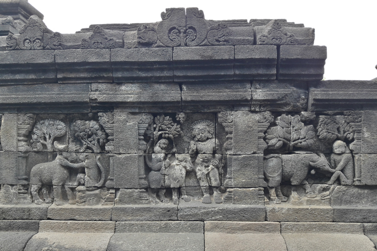 Soluppgång på Merapi-berget, Borobudur-klättring och Prambanan-templet