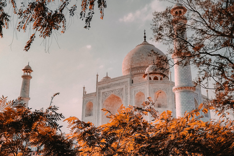 Depuis Delhi : visite du Taj Mahal et d'Agra le même jour avec promenade en bateauExcursion avec voiture climatisée, chauffeur, guide, déjeuner, entrée, promenade en bateau.