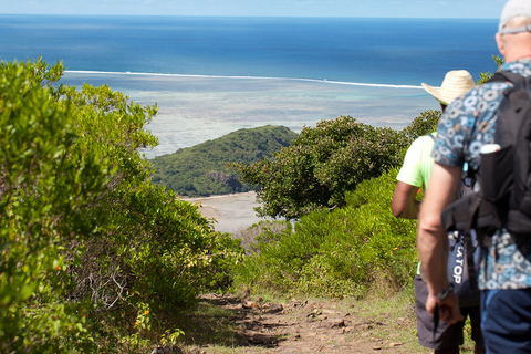 Montagne du Morne, randonnée emblématique avec les meilleurs guides locauxRandonnée dans la montagne du Morne - Groupe