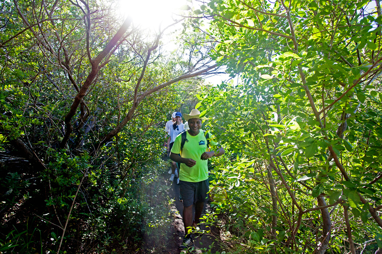 Le Morne Mountain, iconische wandeling met de beste lokale gidsenLe Morne Bergwandeling - Groep