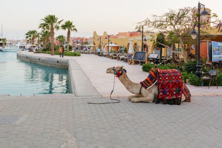 Hurghada: Crucero por la Isla de los Naranjos y visita de la ciudad con compras