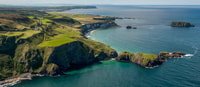 Da Portrush, tour di mezza giornata di Causeway Coast - Housity